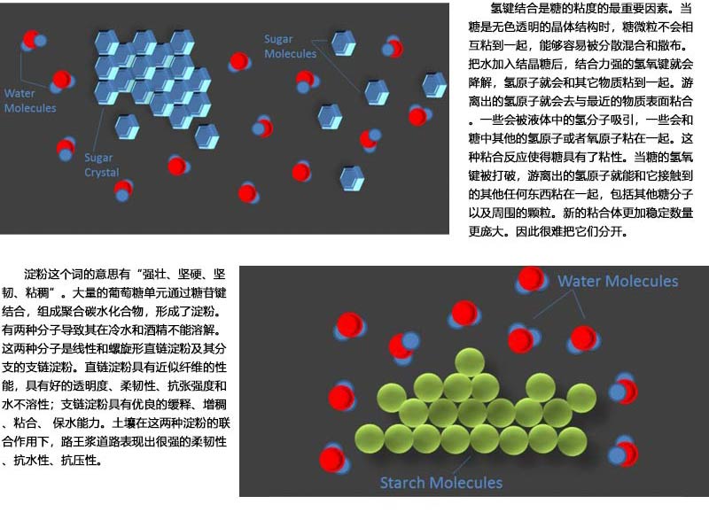 路王漿作用.jpg